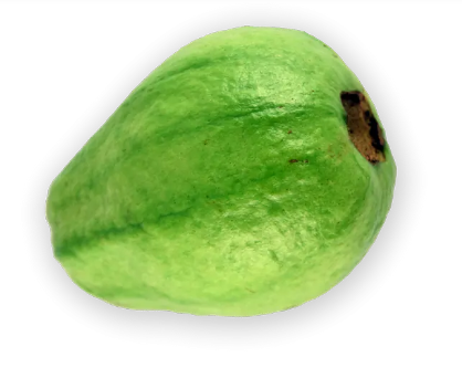 Guava 1 EACH